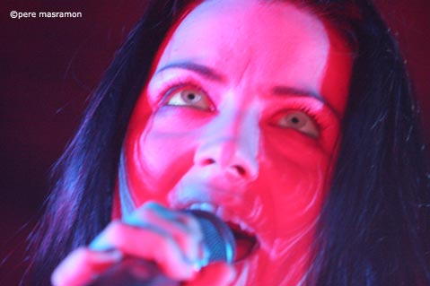 Evanescence, Revelation Theory, crónica de concierto